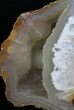 Agatized Fossil Coral With Druzy Quartz - Florida #50793-1